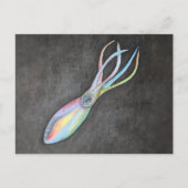 Rainbow Squid Briefkaart (Voorkant)
