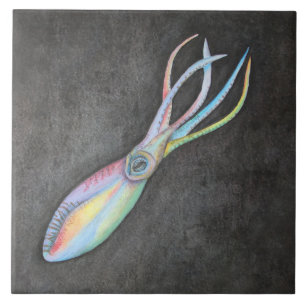Rainbow Squid Ceramic Tile Tegeltje