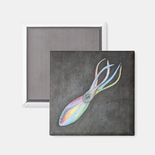 Rainbow Squid Magnet (Voorkant / Achterkant)