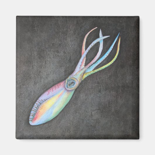 Rainbow Squid Magnet (Voorkant)