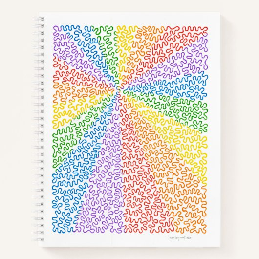 Rainbow Squiggles Notitieboek (Voorkant)