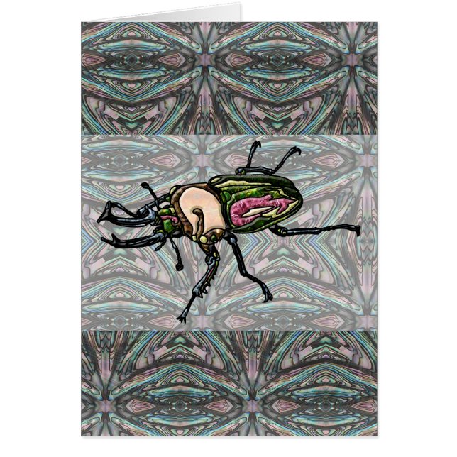 Rainbow Stag Beetle (Voorkant)