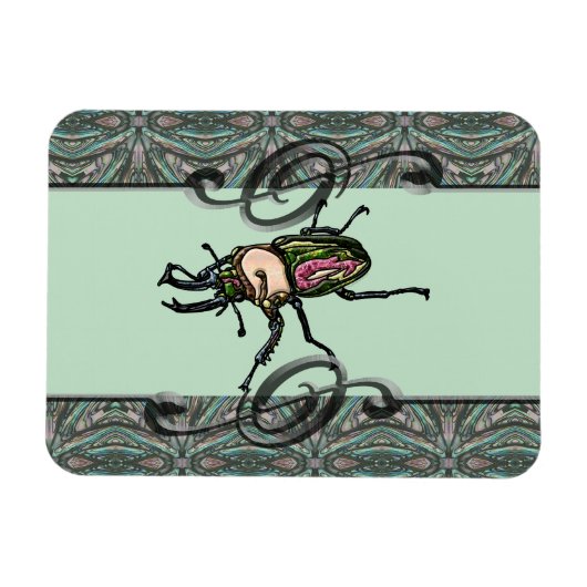 Rainbow Stag Beetle Magneet (Horizontaal)
