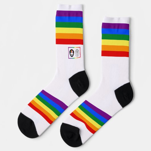 Rainbow Stripe AOSA AWSF Pride Crew Sokken (Links)