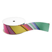 Rainbow Striped Ribbon Grosgrain Lint (Spoel)