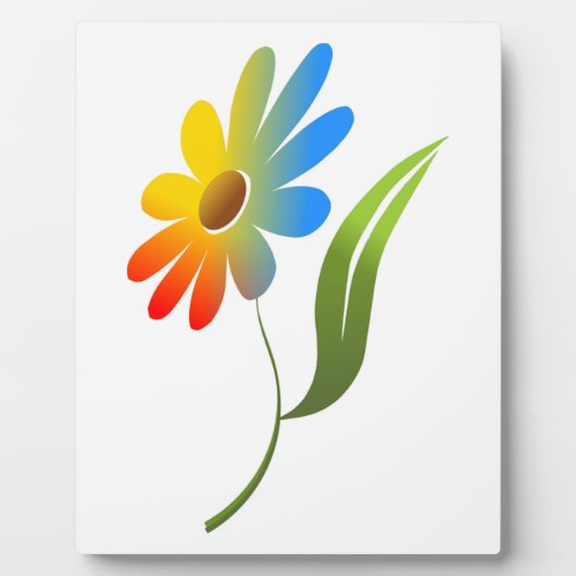 RAINBOW-STROOM FOTOPLAAT (Voorkant)