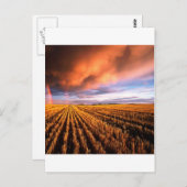 Rainbow Stubble Field Saskatchewan Canada Briefkaart (Voorkant / Achterkant)