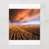 Rainbow Stubble Field Saskatchewan Canada Briefkaart (Voorkant)