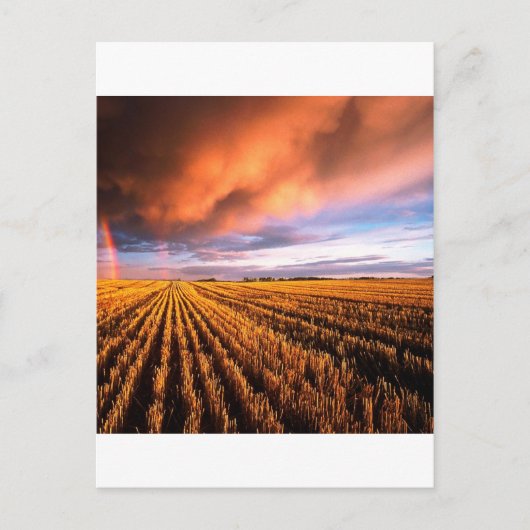Rainbow Stubble Field Saskatchewan Canada Briefkaart (Voorkant)