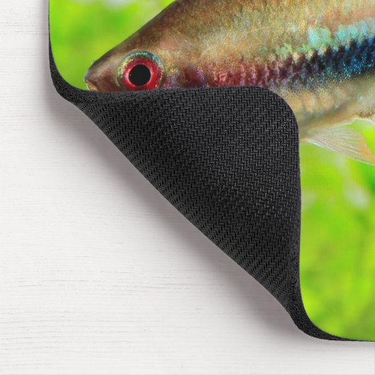 Rainbow Tetra Muismat (Hoek)