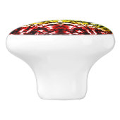 Rainbow Tie Dye Mandala Star Keramische Knop (Zijkant)