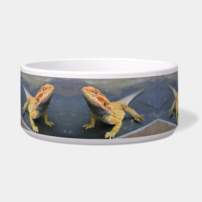 Rainbow Tiger Bearded Dragon Ceramic Pet Bowl Voerbakje (Links)
