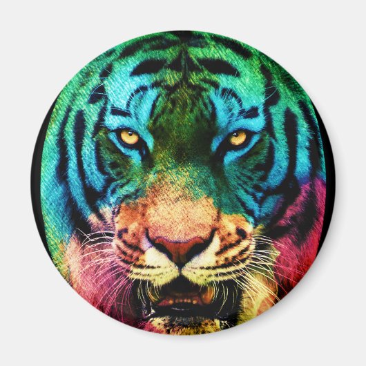 Rainbow Tiger Magneet (Voorkant)