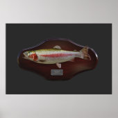 Rainbow Trout Display Plaque Poster (Voorkant)
