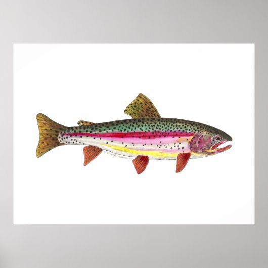 Rainbow Trout Fish Poster (Voorkant)