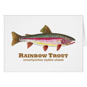 Rainbow Trout Latijn