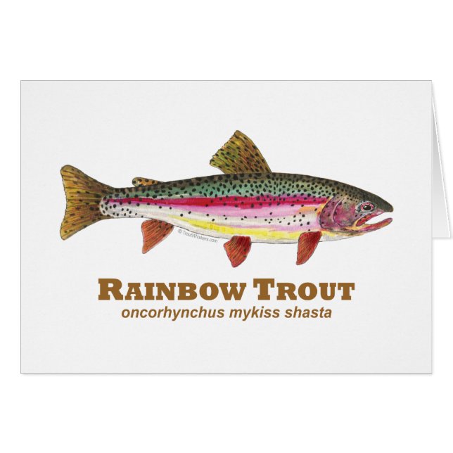 Rainbow Trout Latijn (Voorkant Horizontaal)