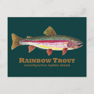 Rainbow Trout Latijn Briefkaart