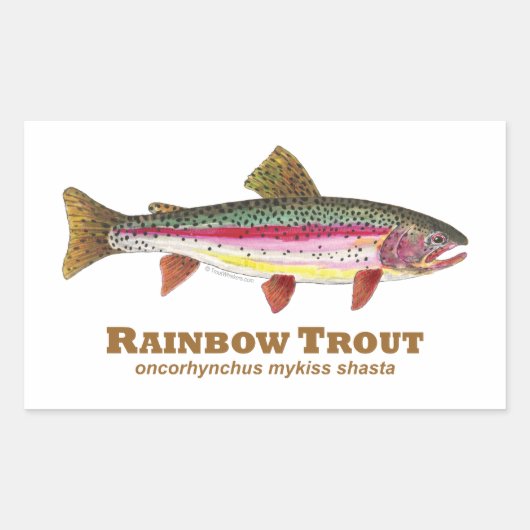 Rainbow Trout Latijn Rechthoekige Sticker (Voorkant)
