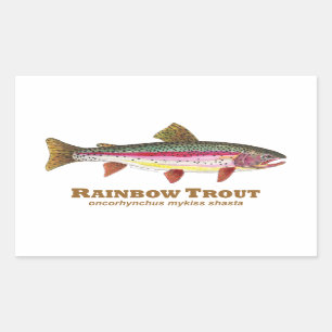 Rainbow Trout Latijn Rechthoekige Sticker