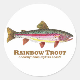 Rainbow Trout Latijn Ronde Sticker