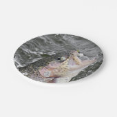 Rainbow Trout neemt het aas Papieren Bordje (Gekanteld)