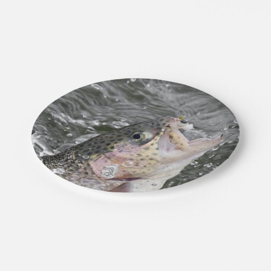 Rainbow Trout neemt het aas Papieren Bordje (Gekanteld)