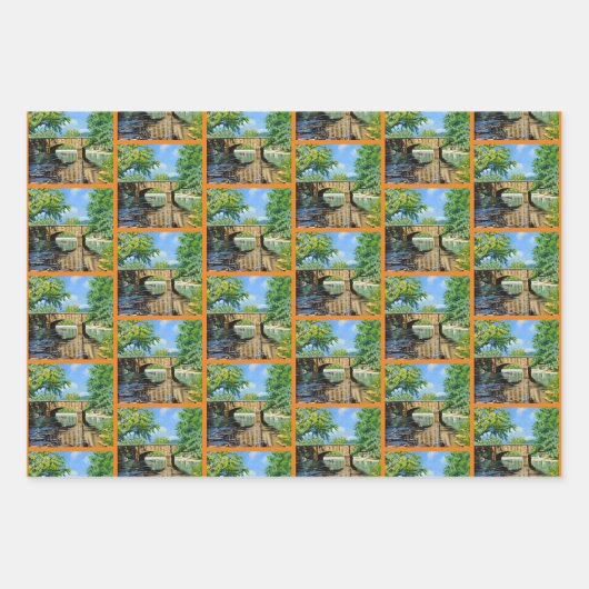 Rainbow Trout Vist Inpakpapier Vel (Voorkant 3)