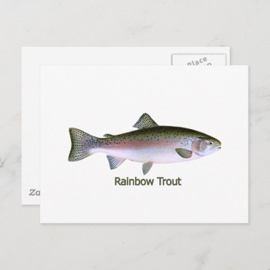 Rainbow Trout Vist Logo Briefkaart (Voorkant / Achterkant)