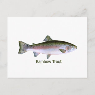 Rainbow Trout Vist Logo Briefkaart
