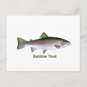 Rainbow Trout Vist Logo Briefkaart (Voorkant)