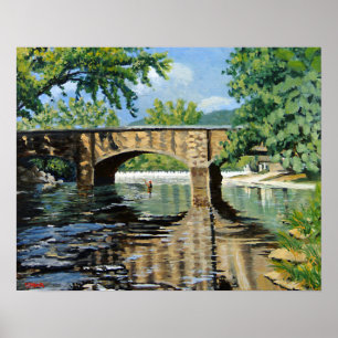 Rainbow Trout Vist Poster