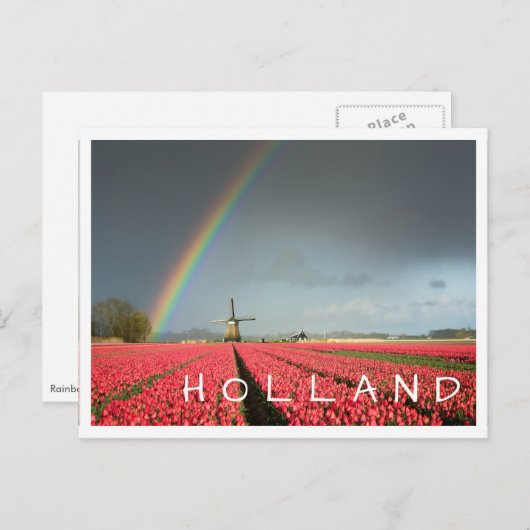 Rainbow, tulpen en windmolen Holland, briefkaart (Voorkant / Achterkant)
