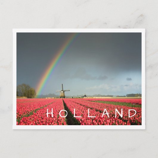 Rainbow, tulpen en windmolen Holland, briefkaart (Voorkant)