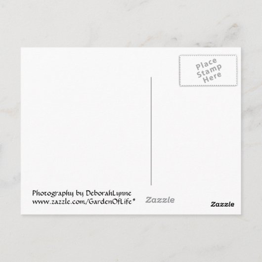 Rainbow Twirl Briefkaart (Achterkant)