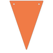 Rainbow Vlaggetjes (Tweede vlag)