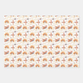 Rainbow-vliegtuigpatroon voor de Waterverf van Cut Inpakpapier Vel (Voorkant 3)