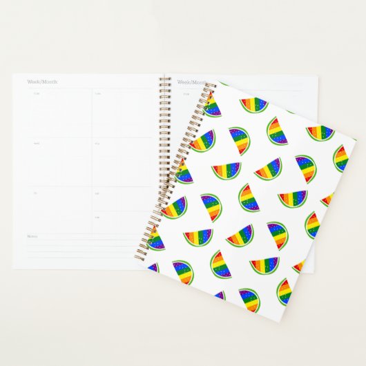 Rainbow Watermelon Pattern Planner (Display)
