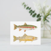 Rainbow & Westslope Cutkeel Trout Briefkaart. Briefkaart (Staand voorkant)