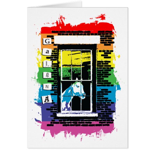 Rainbow Window Horse Galena (Voorkant)