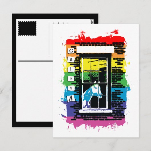 Rainbow Window Horse Galena Briefkaart (Voorkant / Achterkant)