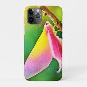 Rainbow Wing Beauty Case-Mate iPhone Case (Achterkant)