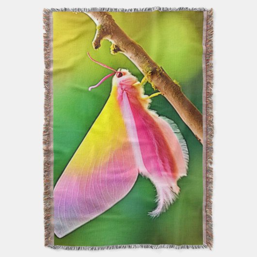 Rainbow Wing Beauty Deken (Voorkant Verticaal)