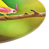 Rainbow Wing Beauty Snijplank (Hoek)