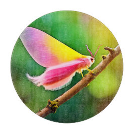 Rainbow Wing Beauty Snijplank