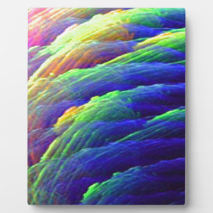 Rainbow Wispy Feather Mountains Fotoplaat