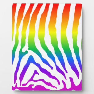 Rainbow Zebra Pattern Fotoplaat