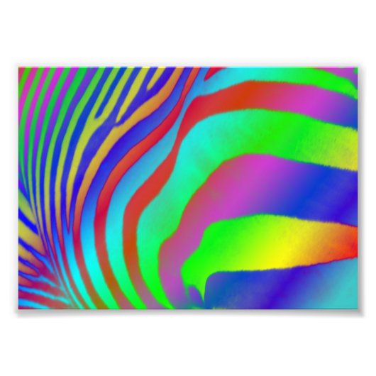 Rainbow Zebra Print Foto Afdruk (Voorkant)