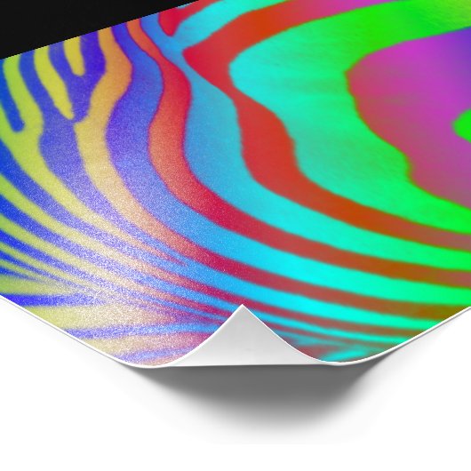 Rainbow Zebra Print Foto Afdruk (Hoek)