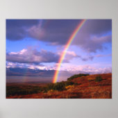 Rainbow's Beauty Poster (Voorkant)